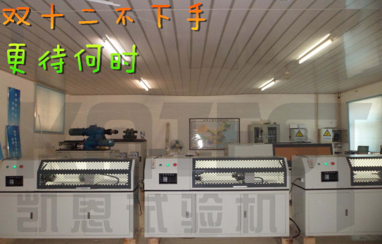 凯恩扭转试验机图片